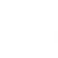 Grupo Schunck